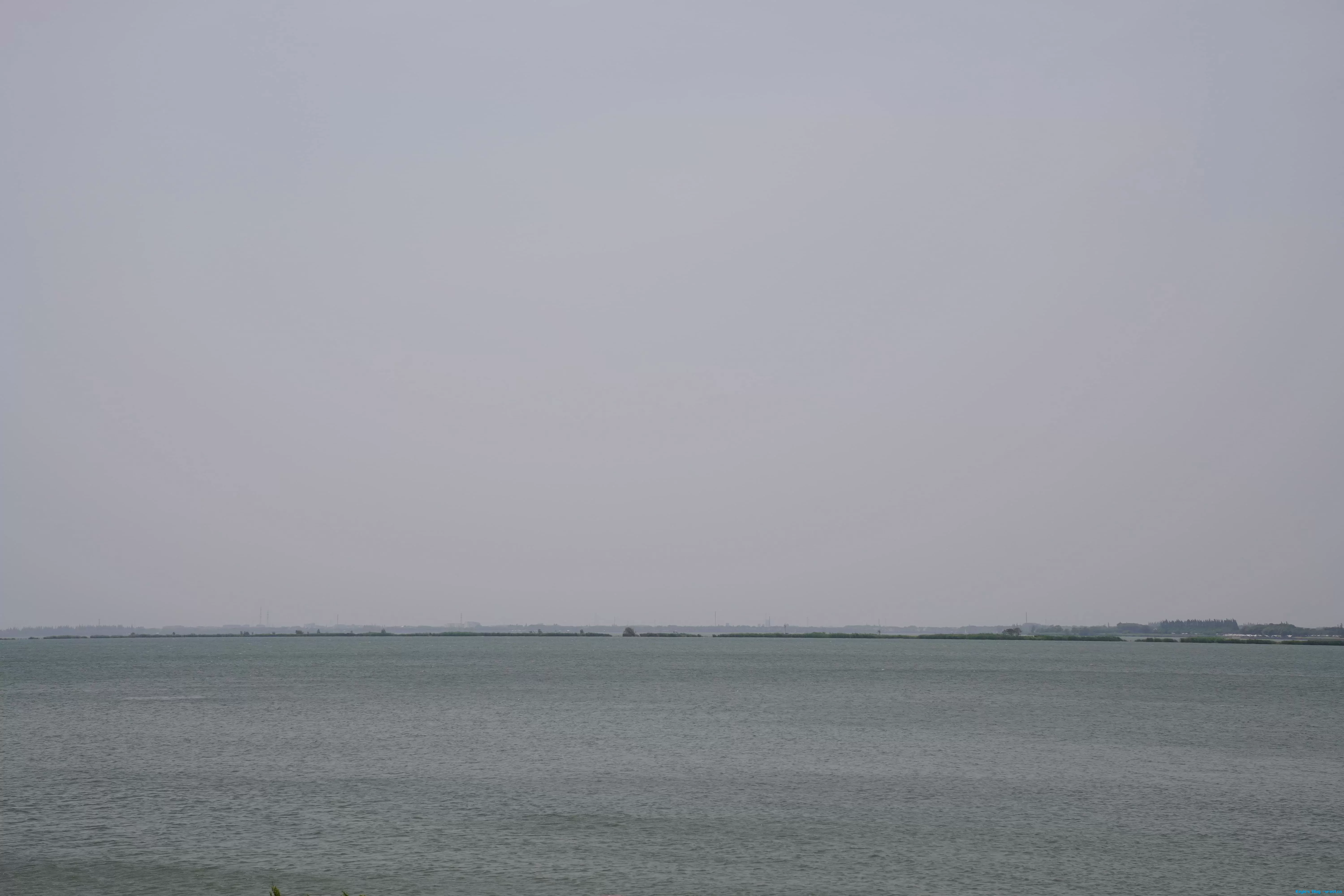 DSC04514