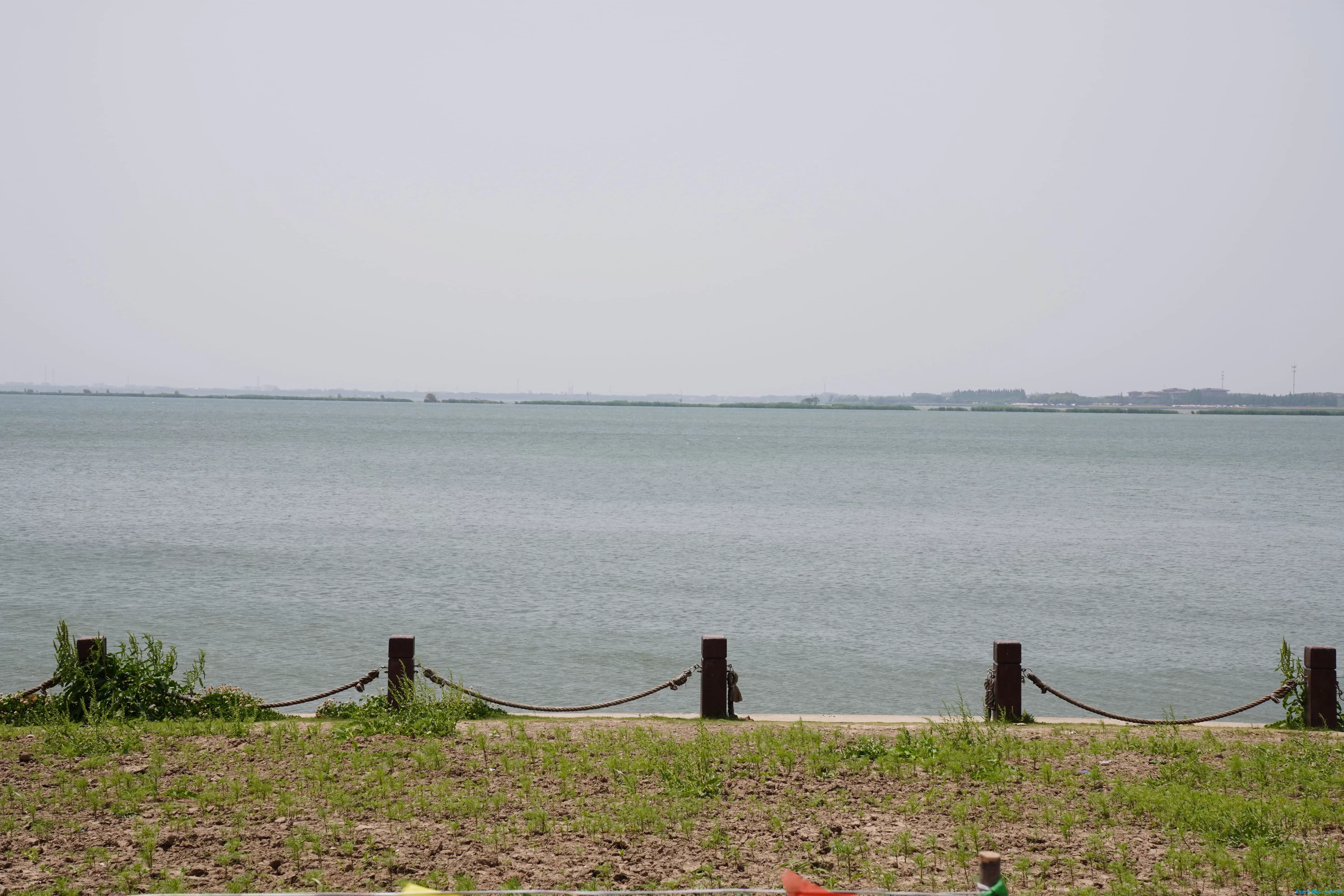 DSC04515