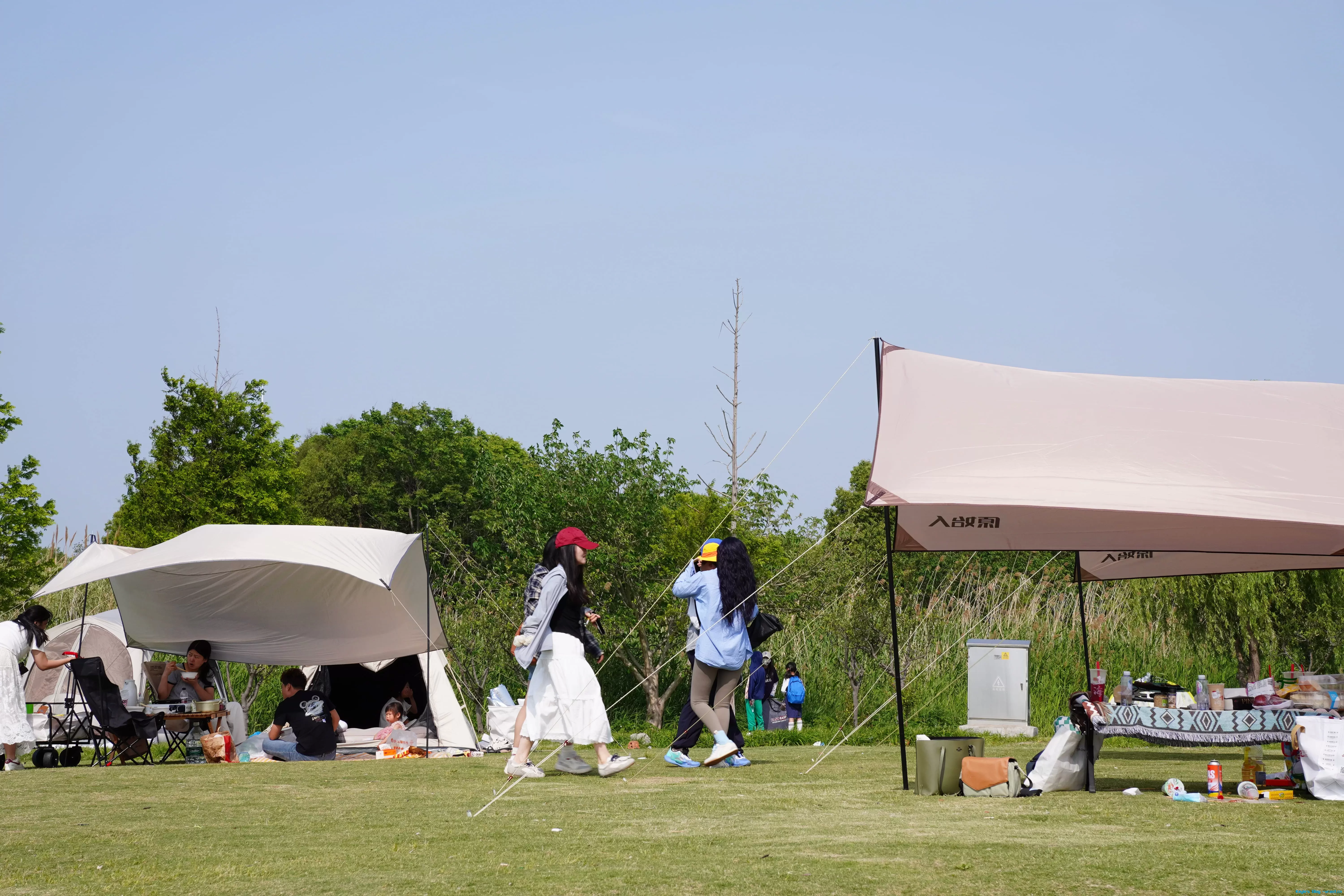 DSC04581